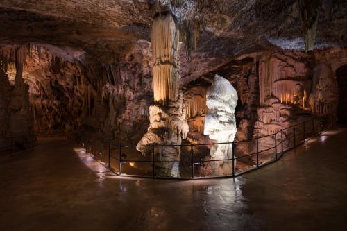Excursion - Postojna Cave